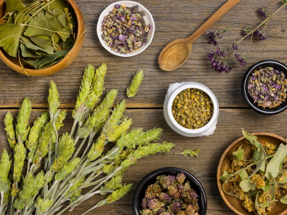 plusieurs plantes médicinales