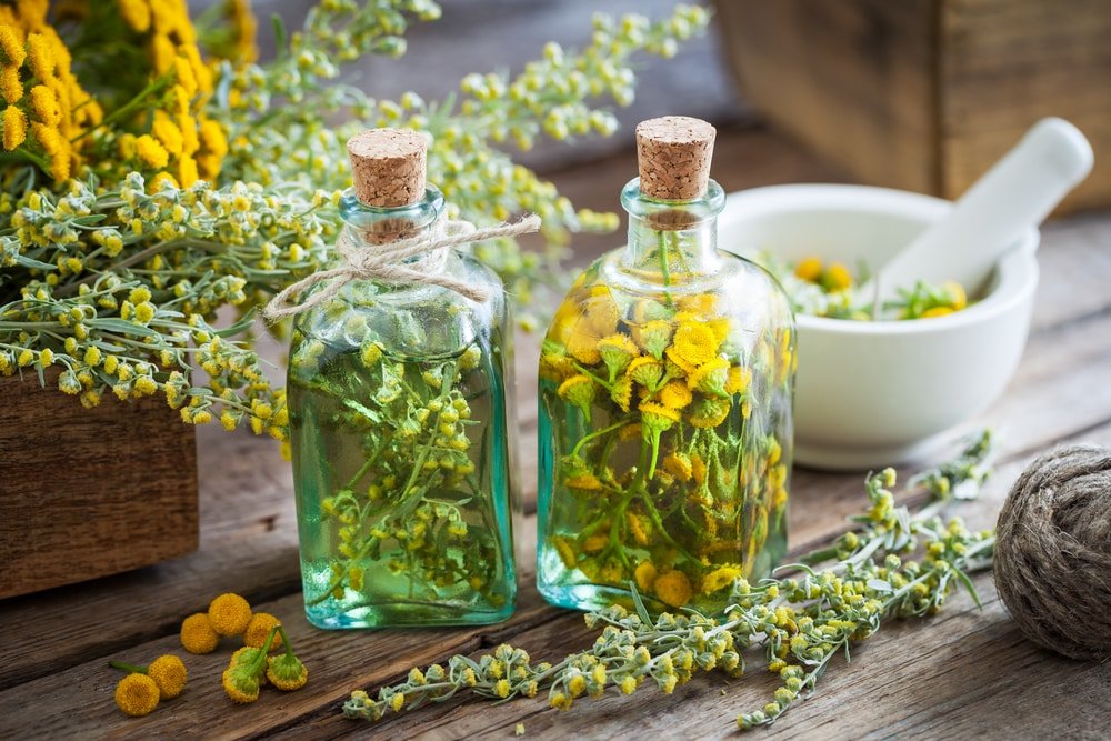 elixir du suedois herbes