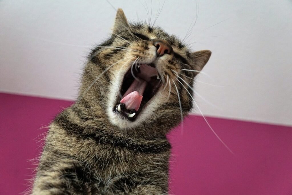 Une grosse fatigue intense