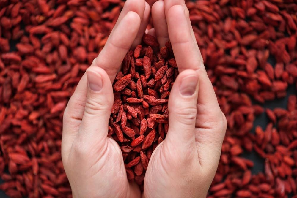 La baie de goji, une source de santé