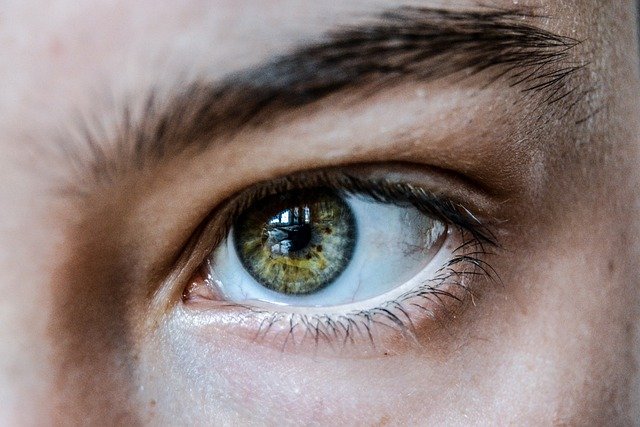 teindre les sourcils