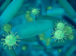 Illustration scientifique du microbiote intestinal montrant la diversité bactérienne et l'écosystème complexe de la flore