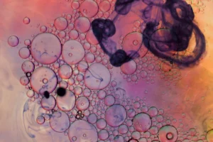 Illustration des mitochondries cellulaires et complément PQQ, coenzyme pour la longévité et protection anti-âge